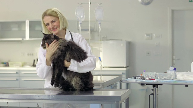 友好的兽医抚摸着一只猫视频素材