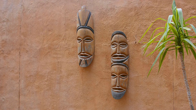 南非纳米比亚温得和克野生Okonjima丛林营地墙上的辛巴族艺术作品视频下载