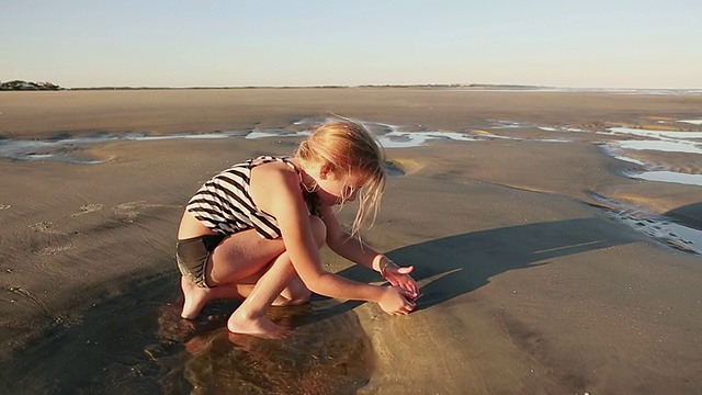 小女孩在美国乔治亚州圣西蒙斯岛的海滩上捉蝴蝶视频素材