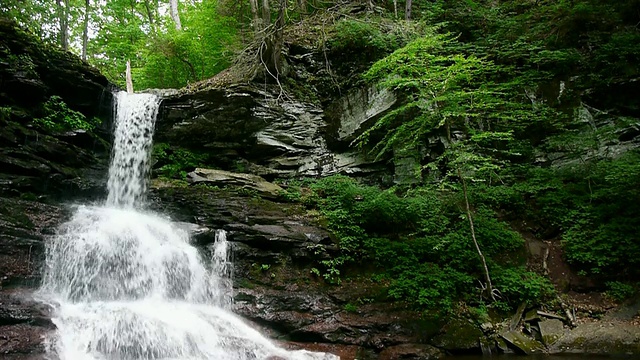 在茂密的山林里的瀑布，里基茨峡谷州立公园，宾夕法尼亚州视频下载