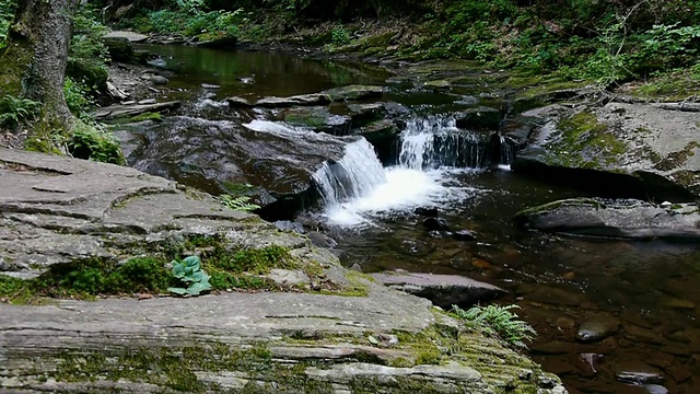 小瀑布，郁郁葱葱的山涧森林，里基茨峡谷州立公园，宾夕法尼亚州视频下载