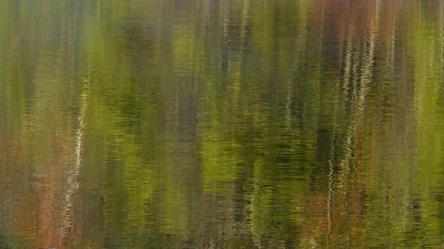 T/L摘要，彩色的秋天倒影和蒸汽雾在瓦尔登湖，瓦尔登湖州保留地，康科德，马萨诸塞州视频下载