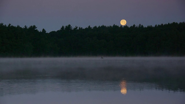 满月落在雾瓦尔登湖与渔民和船在池塘上，瓦尔登湖州保留区，康科德，马萨诸塞州视频下载