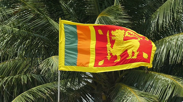 斯里兰卡国旗对椰子树的慢动作视频下载