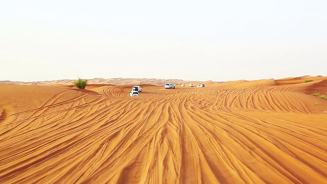 高清:迪拜沙漠狩猎视频素材