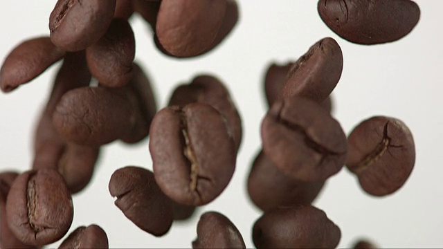 白色背景下的咖啡豆(超级慢镜头)视频下载