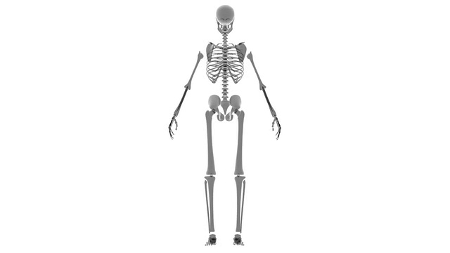 人体骨骼的x光研究视频下载