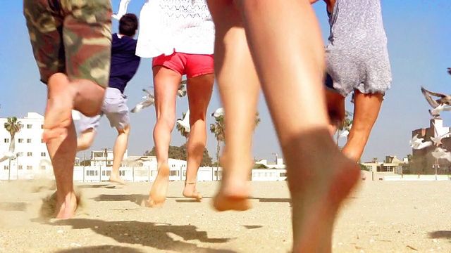蒙太奇-海滩朋友群为海鸥跑步视频素材
