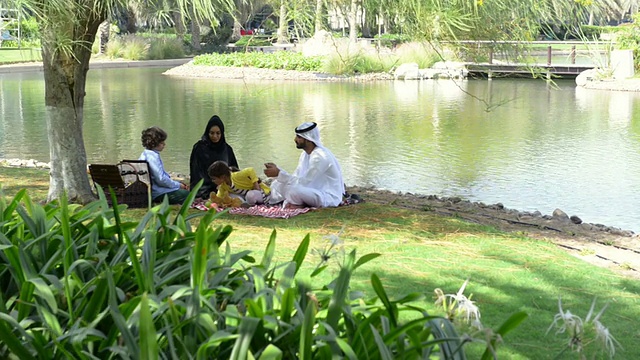 系列:阿联酋家庭野餐视频素材