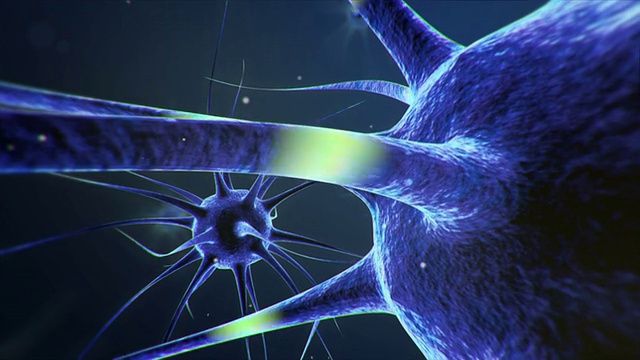 神经元神经细胞传递信息视频素材