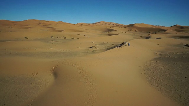 图阿雷格人在摩洛哥沙漠里骑骆驼视频下载
