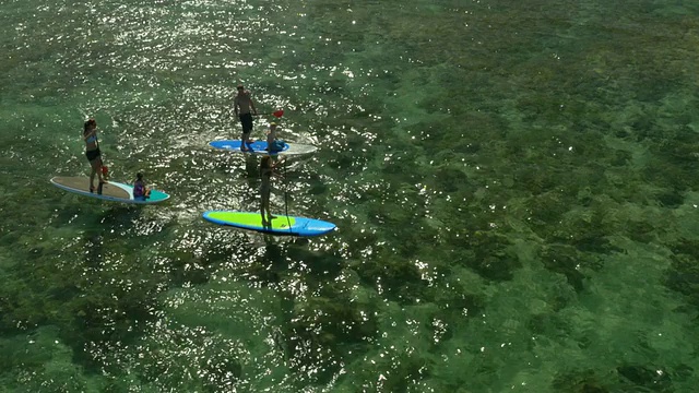 一家人在夏威夷的热带海滩上玩桨视频下载