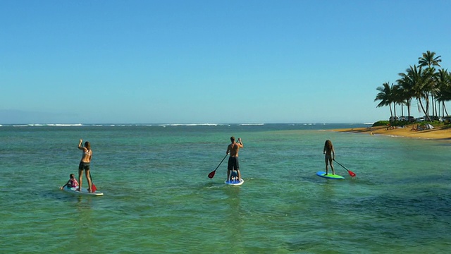 一家人在夏威夷的热带海滩上玩桨视频素材