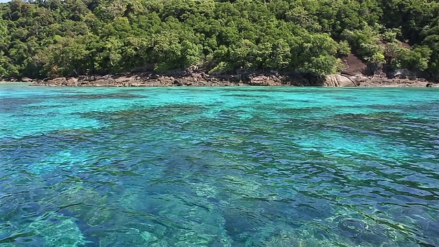 HD Panning:美丽的安达曼海素林国家公园浮潜泰国视频素材