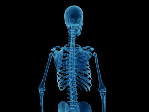 人体骨骼的x光研究视频下载