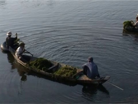 吴哥窟，柬埔寨工人划着独木舟视频下载
