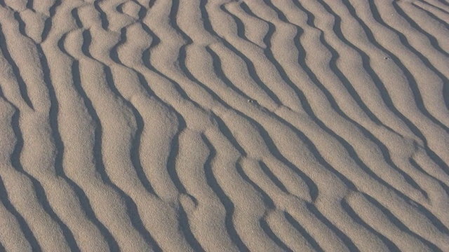 高清:砂模式视频素材