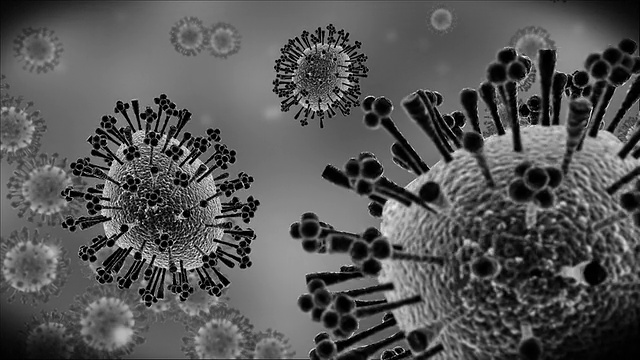 猪流感病毒-显微动画2视频素材