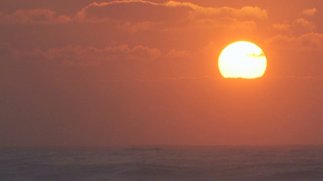 海浪冲击着夏威夷北岸视频下载