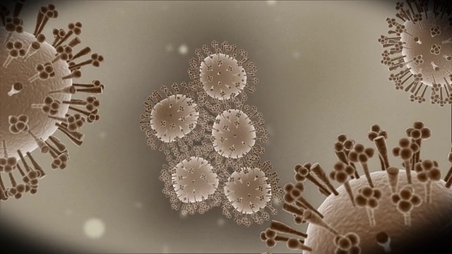 猪流感病毒-微观动画3视频素材