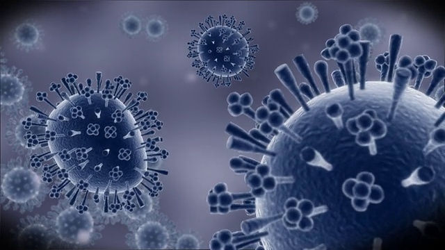 猪流感病毒-微观动画4视频素材