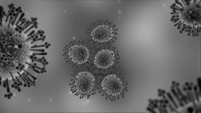 猪流感病毒-显微动画视频素材