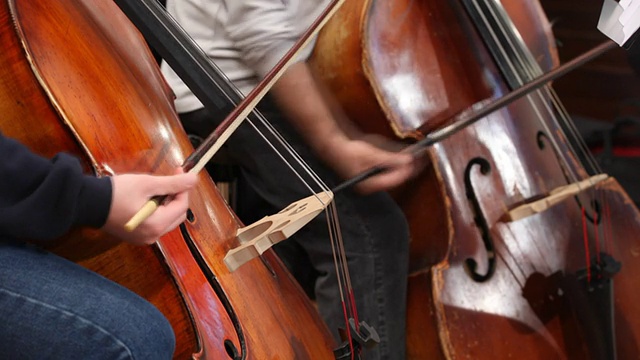 低音提琴的球员视频下载