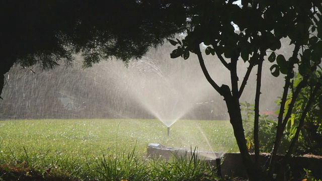 洒水器在阳光下浇草。高清视频下载