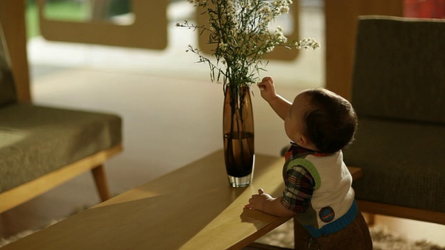 一个蹒跚学步的小男孩正在拉咖啡桌上的花瓶视频下载