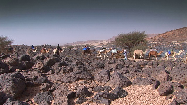 骆驼商队在沙漠中视频下载