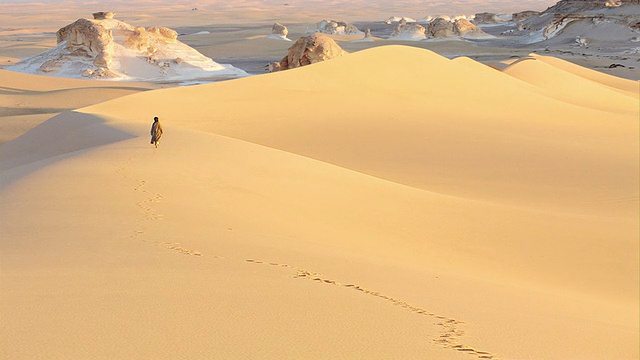 撒哈拉沙漠的沙丘视频素材