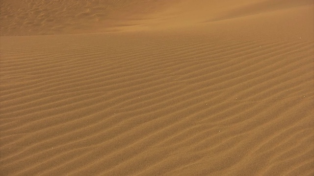 沙漠中的问题视频下载
