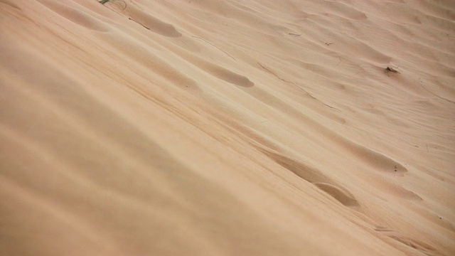 沙漠里的沙子视频下载