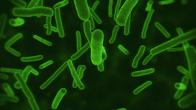 绿色微型Ecoli细菌视频下载