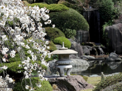 PAL:日本花园(视频)视频素材