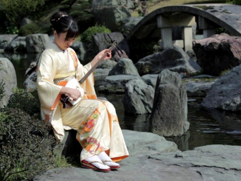 日本女子在花园里玩三味线(视频)视频素材