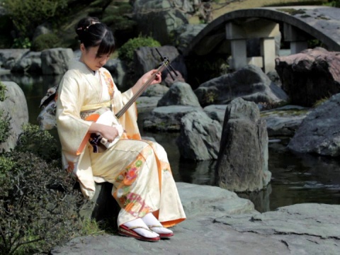 NTSC:女子在日本花园里玩三味线(视频)视频下载