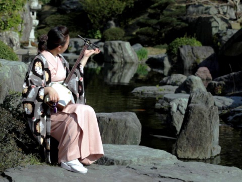 NTSC:女子在日本花园里玩三味线(视频)视频素材