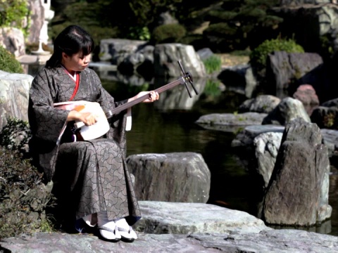 日本女子在花园里玩三味线(视频)视频素材