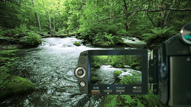 用摄像机记录绿色溪流视频下载