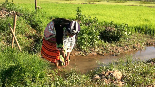 老挝苗族人在大自然中洗手视频素材