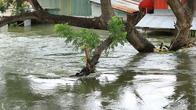 河边被洪水淹没的房屋视频素材