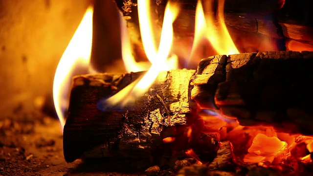 燃烧的木头视频下载