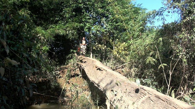老挝苗族人在树干上行走视频素材