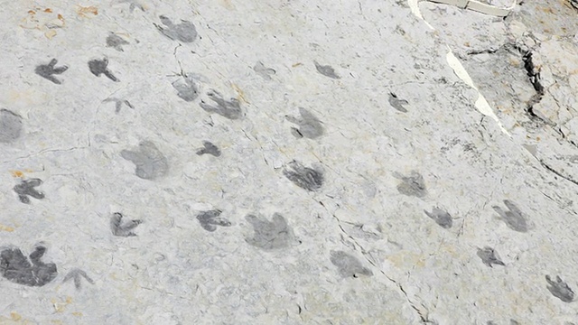 高清视频拍摄了科罗拉多州丹佛市的侏罗纪恐龙岭脚印视频下载