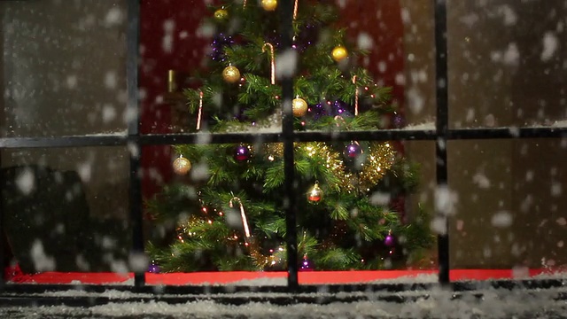 窗外的圣诞树飘着雪花-多莉视频素材