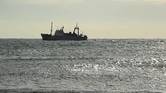 海上的渔船视频素材