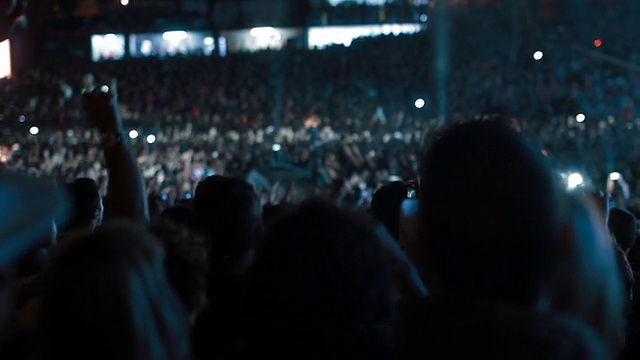 音乐会上跳舞的人群视频素材