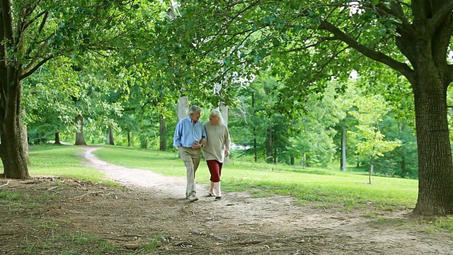 老年夫妇在公园散步视频素材