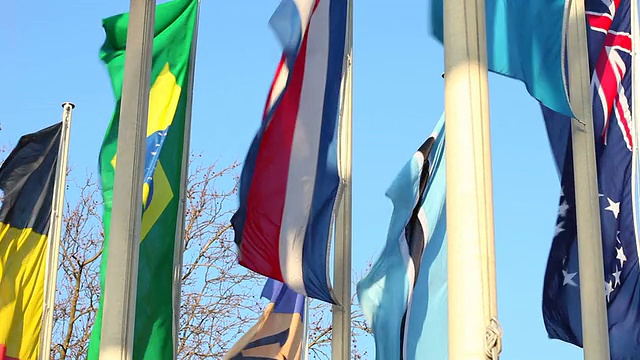 国际旗帜视频素材